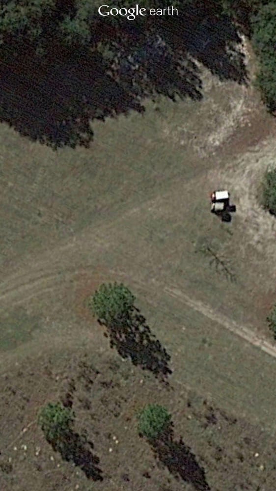 Paradise Dog Park Image