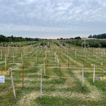 Brecknock Orchard - Fruits & Veggies Near Me - Mohnton, Pennsylvania