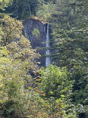 Latourell Falls by null