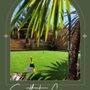 The Irish Turf Co