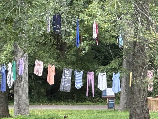 Bernheim Forest and Arboretum by null