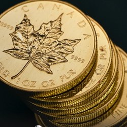 Canada Gold - Calgary North