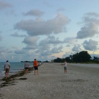Anna Maria Beach - Lots of seaweed! Other than that, and the litter, the beach is beautiful and we love it! - Beaches Near Me - Bradenton Beach, Florida