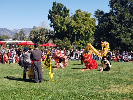 Dina’s Dumpling - Shrimp Dumplings | Pork Dumplings | Beef Dumplings | Chicken Dumplings by null