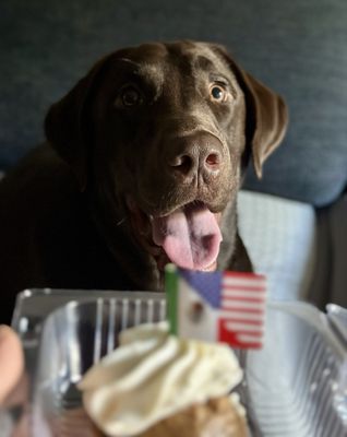 La Pawnaderia by null