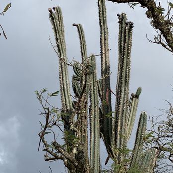 Koko Crater Trail - Hiking Near Me - Honolulu, Hawaii