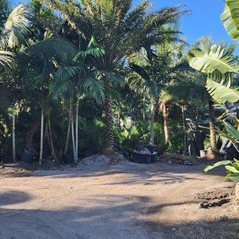 Broward Palms - Landscaping Near Me - Davie, Florida Broward Palms - Landscaping Near Me - Davie, Florida