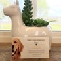 Photo of Black Butte Veterinary Clinic
