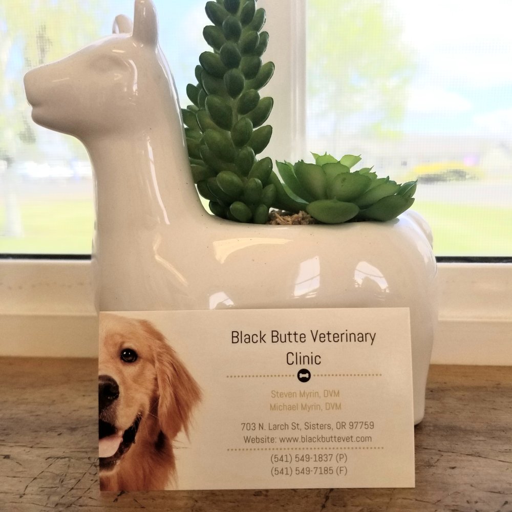 BLACK BUTTE VETERINARY CLINIC Updated October 2024 703 N Larch St