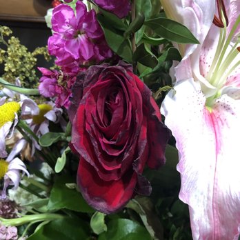 Seacliff Florist - Dying flowers after 4 days - Florists Near Me - Huntington Beach, California Seacliff Florist - Dying flowers after 4 days - Florists Near Me - Huntington Beach, California