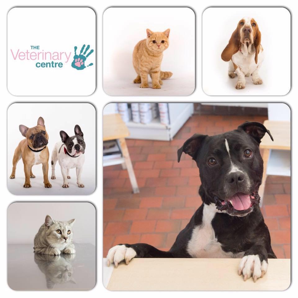 LORNA GRAY Updated July 2024 80 Bellshill Road, Uddingston, Glasgow