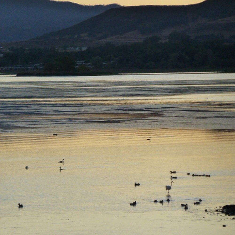 Featherbed Railroad - After the sun sets the lake is just beautiful! - Bed & Breakfast Near Me - Upper Lake, California