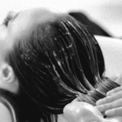 Elegant Desires Blowout Bar