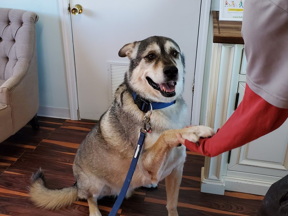 TUMBLEWEED COUNTRY KENNELS 193 Photos & 30 Reviews 12599 Jordan Rd