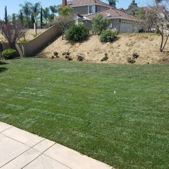 Lawn & Yard Care By Kyle - a view of the back yard - Irrigation Near Me Lawn & Yard Care By Kyle - a view of the back yard - Irrigation Near Me