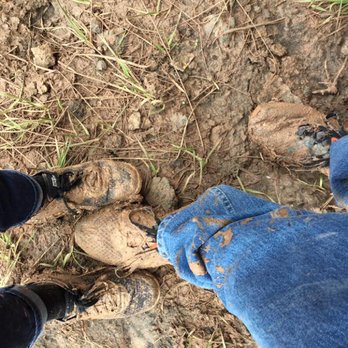 Grand Falls - Grand Falls - 3/25/2017 -- It can be Muddy! But is fun with your favorite hiking buddy! - Landmarks & Historical Buildings Near Me - Leupp, Arizona