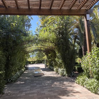 Caymus Vineyards - Wineries Near Me - Rutherford, California