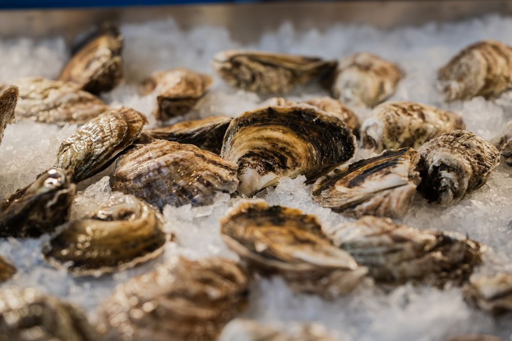 Food from Amherst Oyster Bar
