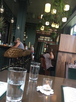 Water Bear Bar by null