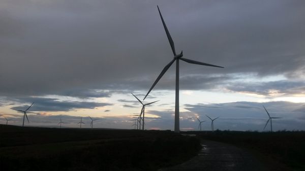 Whitelee wind farm by null