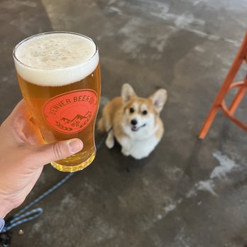 Denver Beer Co. Platte Street - IPA - Breweries Near Me - Denver, Colorado