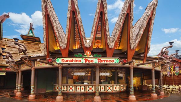 Sunshine Tree Terrace by null