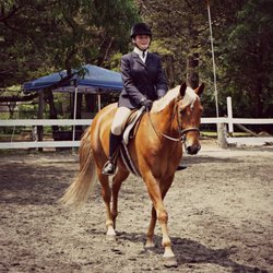 Dapper Dan Farm - Great instructors
