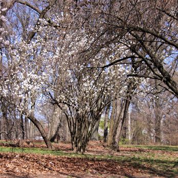 Kissena Park - Parks Near Me - Flushing, New York