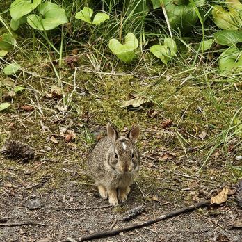 Deception Pass State Park - Community Service/Non-Profit Near Me - Oak Harbor, Washington