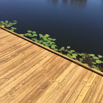 Celebration Lakeside Park - Lily pads - Parks Near Me - Celebration, Florida Celebration Lakeside Park - Lily pads - Parks Near Me - Celebration, Florida