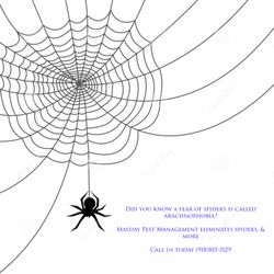 Mayday Pest Management - Call today and ask about out Spring Pest Defense!