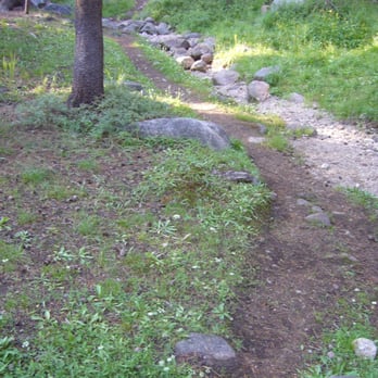 Tuolumne Meadows Campground Yosemite - trail to the bathroom from 94C - Campgrounds Near Me - Yosemite, California Tuolumne Meadows Campground Yosemite - trail to the bathroom from 94C - Campgrounds Near Me - Yosemite, California