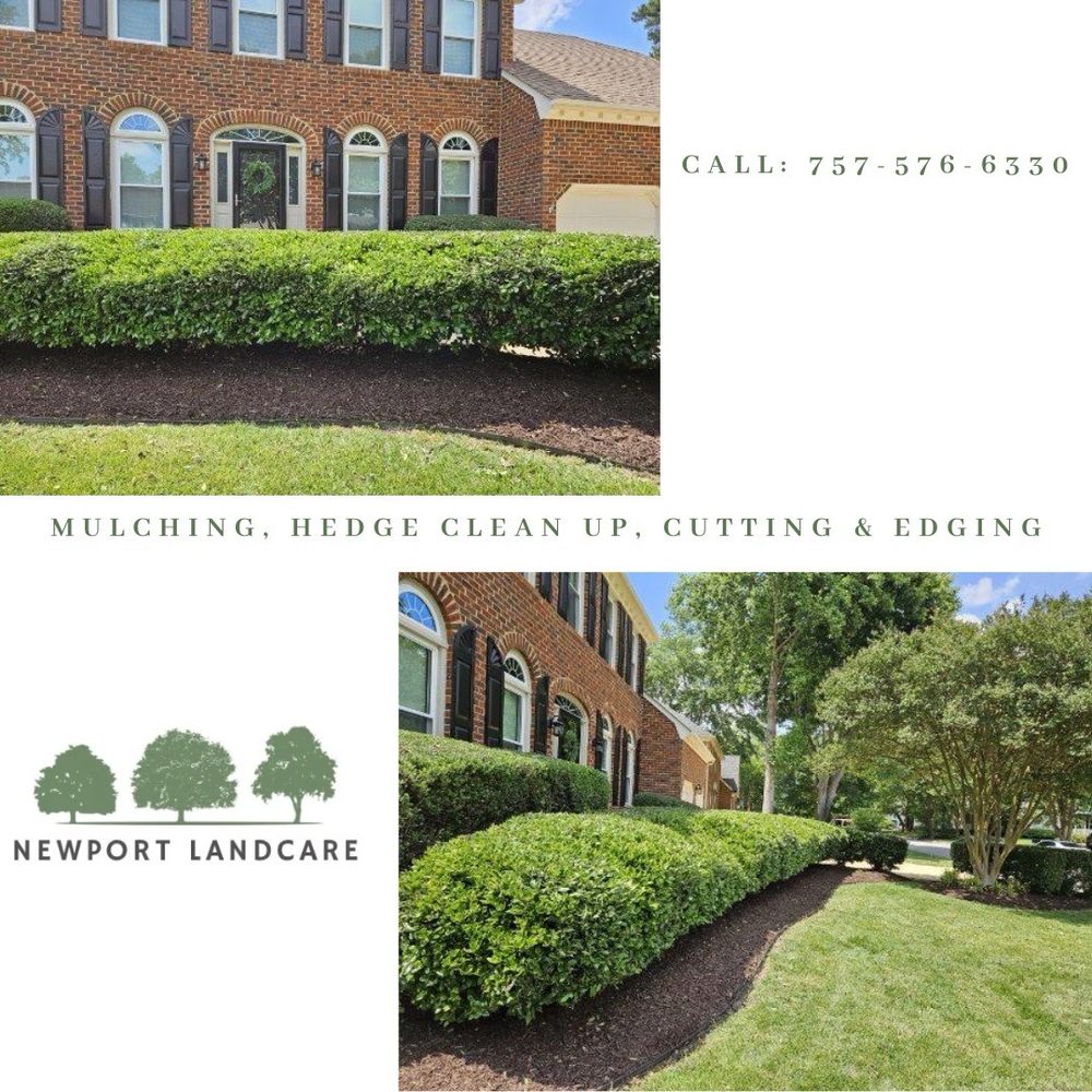 Newport Landcare - tree service in Virginia Beach, VA