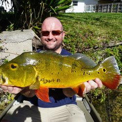 Miami Peacock Adventures - 5.5lbs... thank you Scott!