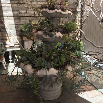 Mama Kat's - Succulent fountain! - American Near Me - San Marcos, California Mama Kat's - Succulent fountain! - American Near Me - San Marcos, California