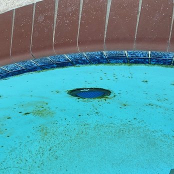BeachBox Vacation Rentals - algae covering the pool light - Vacation Rentals Near Me - Galveston, Texas