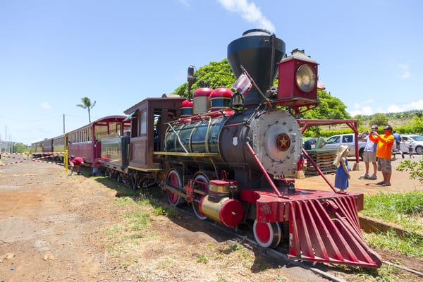 SUGAR CANE TRAIN - CLOSED - 31 Photos & 41 Reviews - Tours - 975