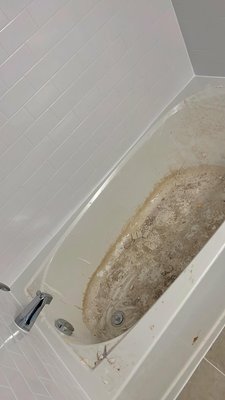 DOMINION CLEANING SERVICES - Updated January 2025 - 34 Photos - 7921A W