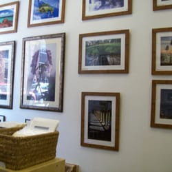 Allan Wilson Photography