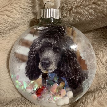 The Dog Pawlour - Christmas ornament - Zooey is looking a bit serious but I love it ... perfect that it was snowing that day. - Pet Sitting Near Me - Fort Collins, Colorado