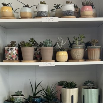 Finders Keepers Corner - Succulents! - Used, Vintage & Consignment Near Me - Berea, Ohio Finders Keepers Corner - Succulents! - Used, Vintage & Consignment Near Me - Berea, Ohio