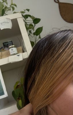 Hidden Oasis Salon & Spa