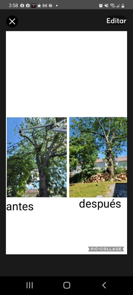 GAD TREE EXPERTS - Updated June 2024 - 21 Photos - Dayton, Ohio - Tree ...