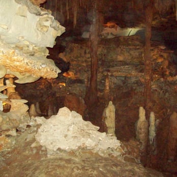 Inner Space Cavern - inner space cavern - Tours Near Me - Georgetown, Texas Inner Space Cavern - inner space cavern - Tours Near Me - Georgetown, Texas