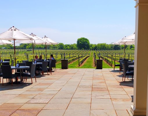 Sparkling Pointe Vineyards & Winery by null