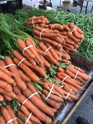 Campbell Farmer's Market by null