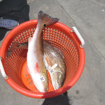 Dolphin Dock - Fishing Near Me - Port Aransas, Texas