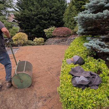 Landscaping Landin - Pet Moss - Landscaping Near Me - Auburn, Washington Landscaping Landin - Pet Moss - Landscaping Near Me - Auburn, Washington