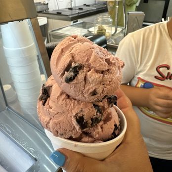 Deltona Ice Cream - Black cherry size small - Ice Cream & Frozen Yogurt Near Me - Deltona, Florida Deltona Ice Cream - Black cherry size small - Ice Cream & Frozen Yogurt Near Me - Deltona, Florida
