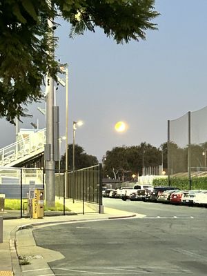 Fullerton College by null